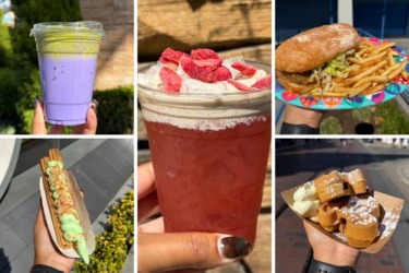 REVIEW: All Food and Beverage Items Available at Disney California Adventure Food and Wine Festival 2026
