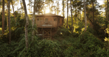 Major Interior Refurbishment Coming to Saratoga Springs Treehouse Villas