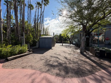 Possible Construction at Former Indiana Jones Merchandise Kiosk in Disney’s Hollywood Studios
