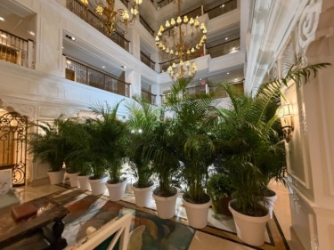 Mary Poppins Fountain Under Refurbishment in The Villas at Disney’s Grand Floridian Resort