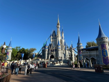 More Blue Roofing Painted on Cinderella Castle at Magic Kingdom
