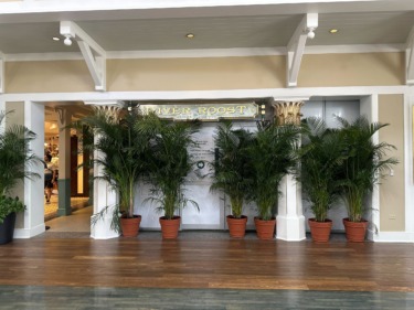 Part of River Roost Bar Closed at Disney’s Port Orleans Riverside