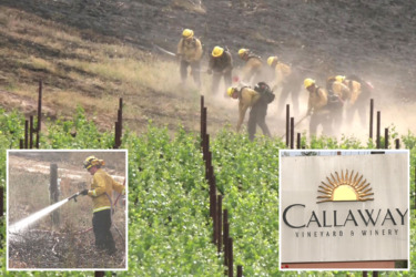 Horrifying wildfire seen ripping toward stunning SoCal winery — cops say it was lit on purpose