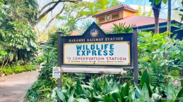 My Favorite Relaxing Disney World Activity Is About To Get a LOT More Complicated