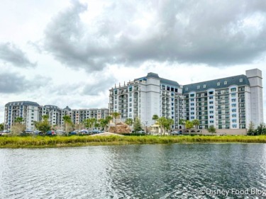 5 Tips For the NEW Disney Springs Bus Rule