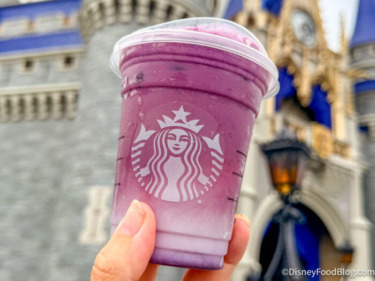 REVIEW: These NEW Starbucks Drinks Weren’t What We Expected
