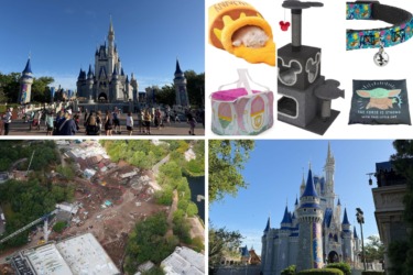 British Man Arrested for Pushing Teenage Girl in Line at Magic Kingdom Thrill Ride in Today’s Daily Recap for 4/11/2026