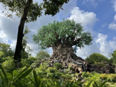 3 Best and Worst Lightning Lanes at Animal Kingdom
