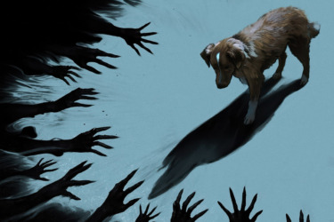 Stream It Or Skip It: ‘Good Boy’ on Hulu, an Engrossing Horror Story Told Wholly From a Dog’s Point-of-View