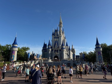British Man Arrested for Pushing Teenage Girl in Line at Magic Kingdom Thrill Ride