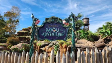 British Tourist Arrested Following Physical Altercation with Teen at Disney World