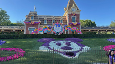 Top 20 Tips for Visiting the Disneyland Resort