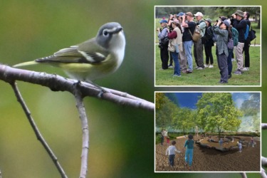 NYC park project could push local ‘extinction’ of birds: critics