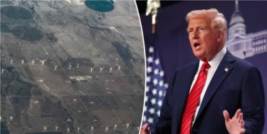 NEWT GINGRICH: What Trump can teach us about energy and America’s future