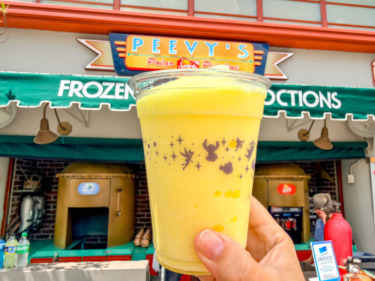 REVIEW: This Disney World Snack Spot Is the Unsung Hero of Obscenely Hot Days
