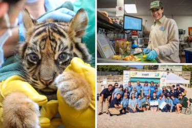 Inside the Animal Care and Conservation Work at Disney’s Animal Kingdom