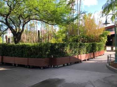 Pavement Demolished at Indiana Jones Stunt Show Exit in Disney’s Hollywood Studios