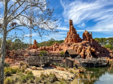 A Popular Disney World Ride Finally Reopens NEXT MONTH