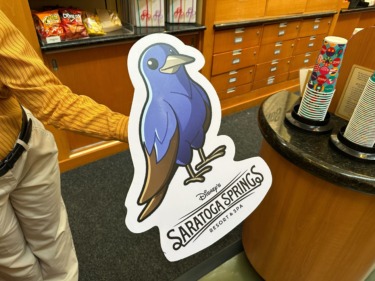 Purple Martin Nest Checks Return to Disney’s Saratoga Springs Resort