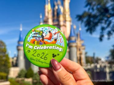 The Big Disney World Rule That Everyone Always Gets Wrong