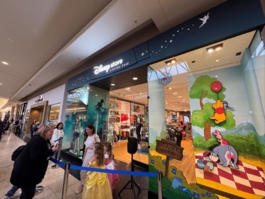 Photos/Video: Disney Store Pops Up at Pittsburgh’s Ross Park Mall for a Limited Time