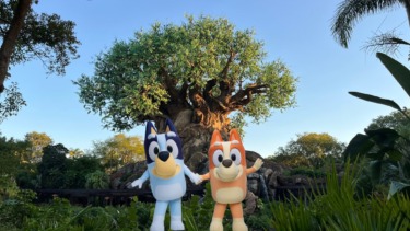 Bluey’s Wild World at Conservation Station will only be Available Via Virtual Queue