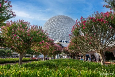 Florida Residents Disney Summer 2026 Ticket: 4 Days for $65 Per Day at Walt Disney World
