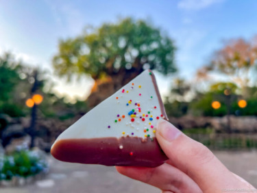 REVIEW: Disney World Has New ‘Bluey’-Themed Snacks…Which One Is the BEST?