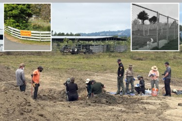 Horrifying mass grave of over 100 dead dogs discovered at California animal rescue
