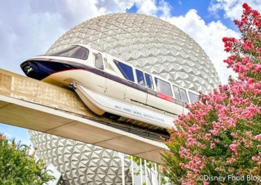 These Two Disney World Rides Were TIED with the Highest Waits Last Week