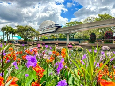 Ignore the Haters and Do This First in EPCOT