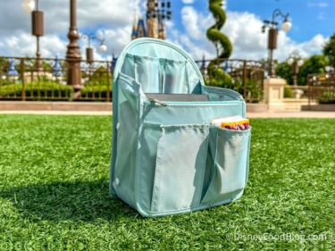 The Park Bag Organizers That Bring Order to Every Disney World Trip — All on Amazon