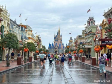 Florida Locals Share Hurricane Tips for Disney World You Need to Hear