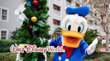 New Special Offers Revealed for Walt Disney World Hotel Stays During Upcoming Holiday Season