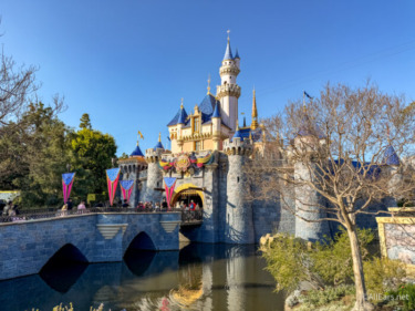 NEW Limited Time Disneyland Ticket Deal Starts At $59