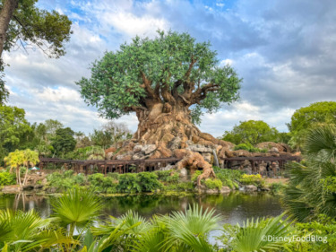 The Retro Animal Kingdom Shirt From Amazon Everyone Will Be Wearing To Disney World