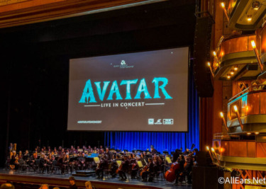 We Might Have Just Found a BETTER Way To Watch ‘Avatar’