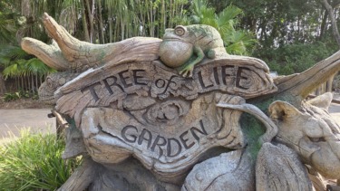 Big Changes Coming to Disney’s Animal Kingdom as New Permit Details Construction Near Tree of Life