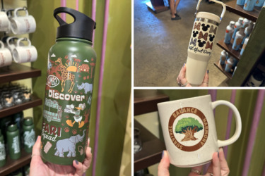 Disney’s Animal Kingdom Featured on New Water Bottle, Tumbler, and Mug