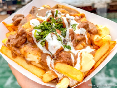 REVIEW: Disney World Poutine Keeps Getting Better and Better, and It Might Be the BEST $13 We’ve Spent