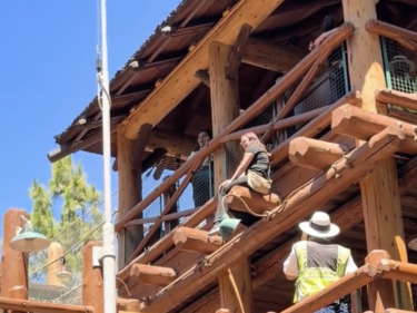 VIDEO: Security Responds to Young Guest Climbing On Redwood Creek Challenge Trail Structure