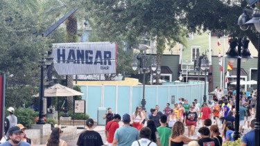 Waterview Park Roof Installation Taking Longer than Expected in Disney Springs