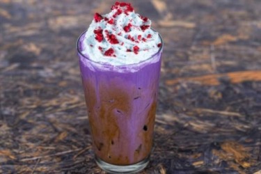 New Drink Menu Debuts at Satu’li Canteen in Disney’s Animal Kingdom