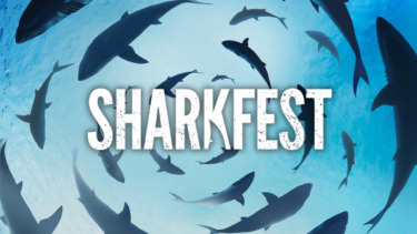 National Geographic’s Hit Summer Event “Sharkfest” Returns with an Up Close Look at Hammerhead Sharks and More