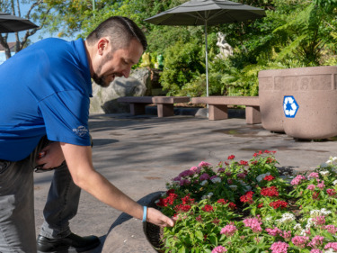 The Hidden Story Behind DreamWorks Land’s Colorful Gardens at Universal Orlando