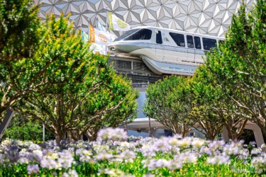 Walt Disney World’s New 2-Day, 2-Park Ticket – $199 For Summer and Fall 2026
