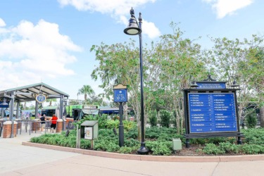 Walt Disney World to Restrict Non-Hotel Guests from Using Disney Springs Transportation