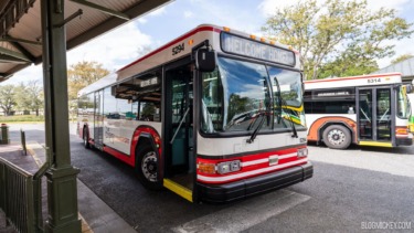 New Details for Disney Springs Bus Restrictions & Resort Hopping for Resort Guests