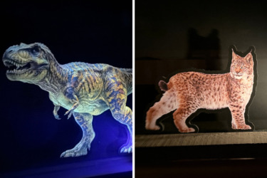 Disneyland Railroad Dioramas Replaced with Cardboard Dinosaur and Animal Cutouts – This and More In The Top 10 Stories of the Week for June 13, 2026