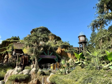 Young Guest Jumps Out of Ride Vehicle on Tiana’s Bayou Adventure, Slides Down 50 Foot Drop